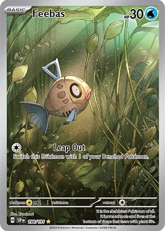 SV8-198 FEEBAS