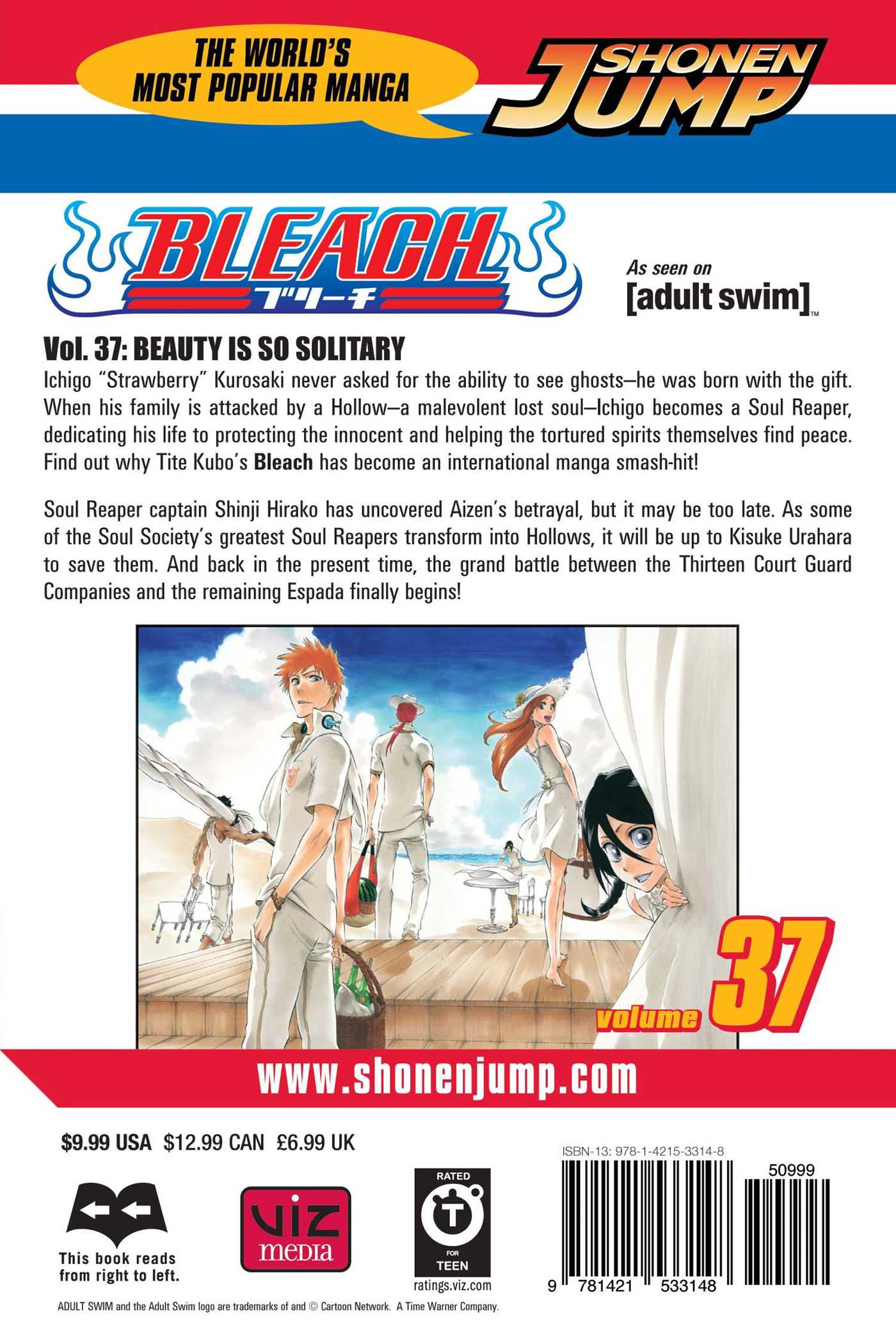 Bleach, Vol.37