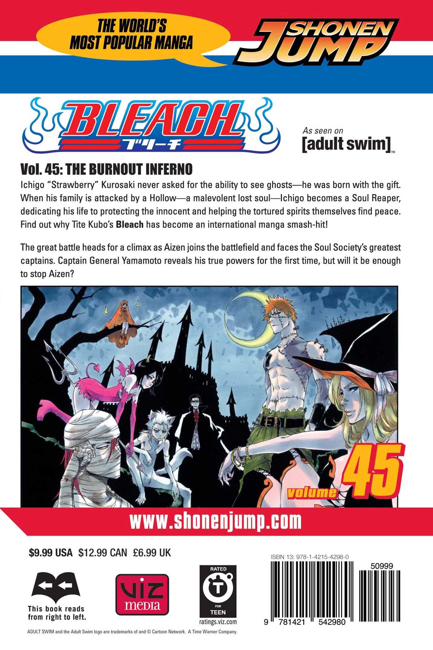 Bleach, Vol.45